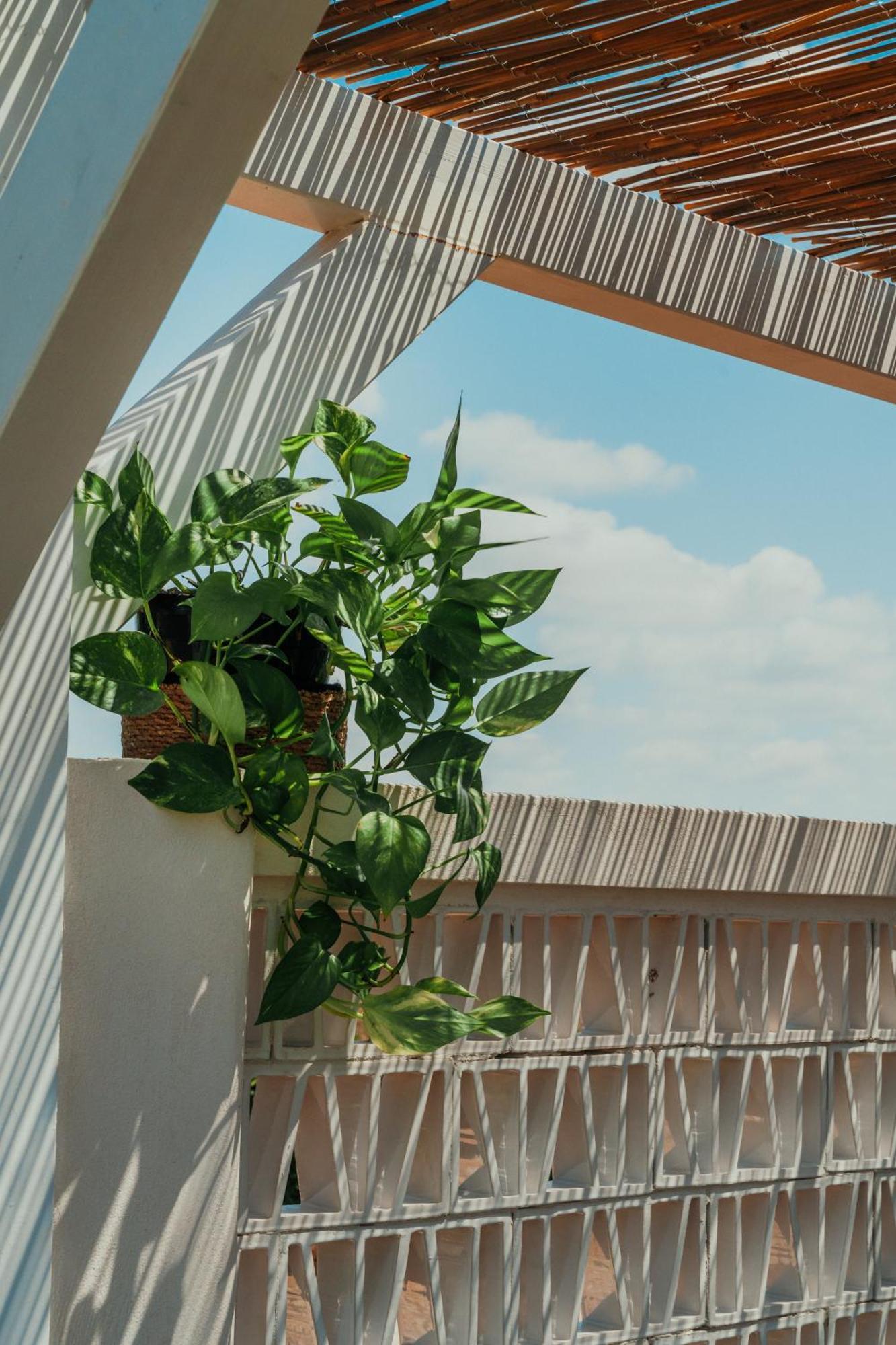 Methe Acomodação com café da manhã Lizzano  Exterior foto